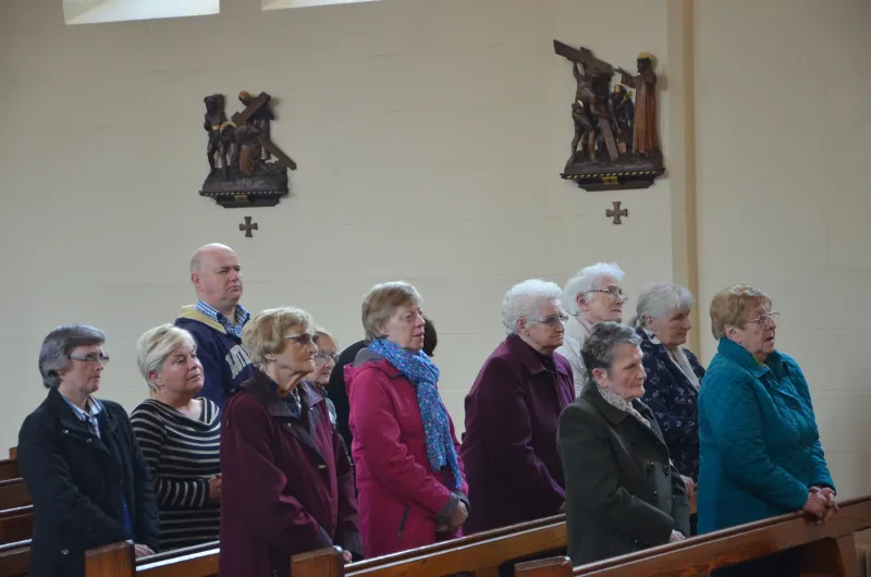 The Rising of the Curia &mdash; Legion of Mary, Down and Connor